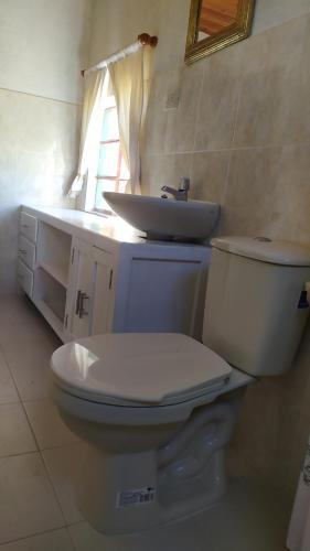 杜伊塔马Cabaña Campestre La Esperanza的浴室配有白色卫生间和盥洗盆。
