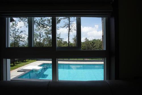维特利Pabis luxurious stay的透过窗户可欣赏到游泳池的景色