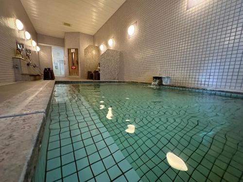 长野原北軽井沢　Golden Forest Hotel的水中带鸭子的游泳池