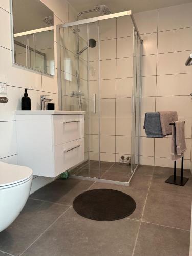 卡佩尔罗德克Villa Waldulm的带淋浴、卫生间和盥洗盆的浴室