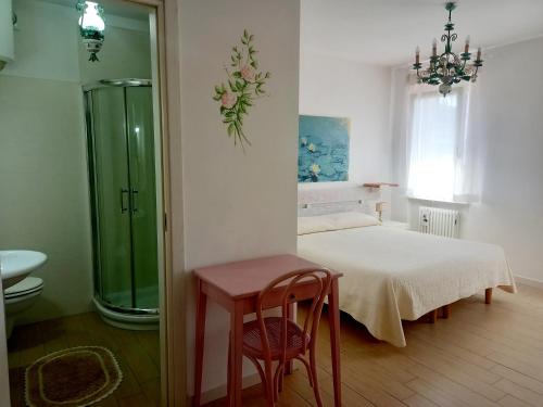 特雷维索阿卡萨帝多拉住宿加早餐旅馆的客房设有一张床、淋浴和一张桌子