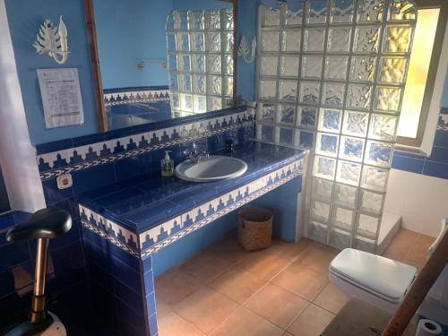 阿塞沃Casa Rural Los Robles的蓝色的浴室设有水槽和镜子
