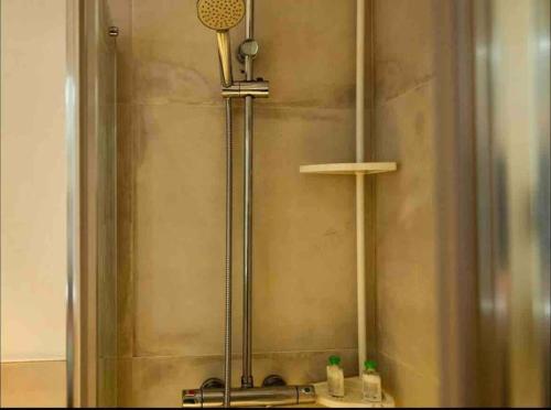 马德里Bonito apartamento con bañera en la habitacion的带淋浴的浴室配有镜子和水槽