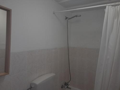 里斯本Chiado / Carmo Small Artist Lodge的带淋浴帘和卫生间的浴室