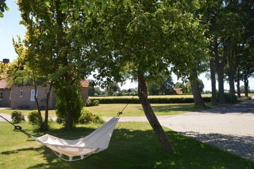 Ambt DeldenVakantiehuisje de Wender的吊床挂在院子里的树上