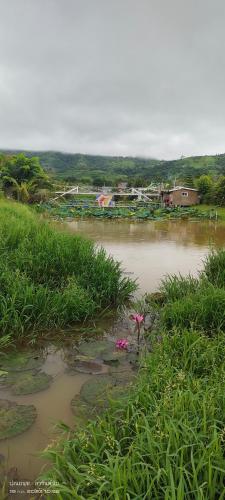 Ban Non Na YaoThe Memorize Resort的草和花的水域