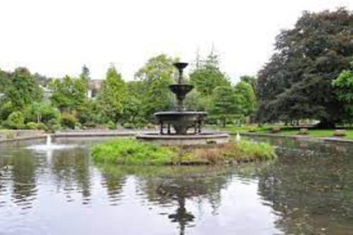 科克Charming 1-Bed Apartment in Cork的公园池塘中央的喷泉