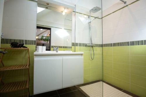 欧塞尔Le Speakeasy - Maison avec billard的一间带水槽和淋浴的浴室