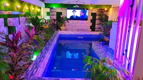 库马西Golden Aurora Lodge的植物间里带电视的游泳池