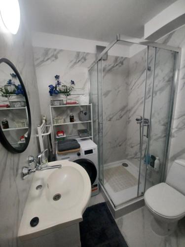 托伦Apartament LORD的带淋浴、盥洗盆和卫生间的浴室