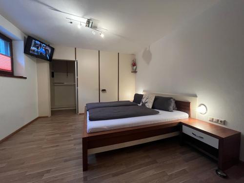 维尔德科格尔山麓布兰贝格Appartement Josefine的卧室配有一张床,墙上配有电视。