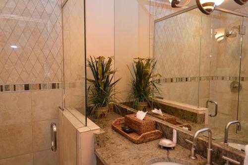 阿斯潘Fasching Haus Unit 6, Condo with Beautiful Decor, Spacious Layout, Great Location的浴室配有水槽和植物淋浴