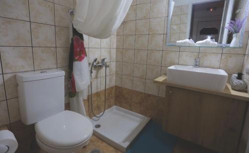 DiakoftiAthena Kythera的浴室配有白色卫生间和盥洗盆。