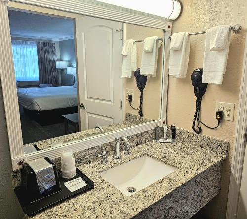 泽弗希尔斯Roadstar Hotel Zephyrhills的一间带水槽和大镜子的浴室