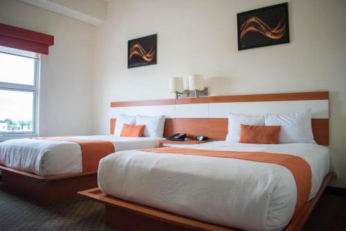 Los Herederos Hotel Piedras Negras的酒店客房设有两张床和窗户。