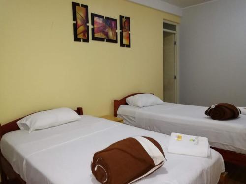 马尔多纳多港Hotel Botón de Oro的两张床铺,房间装有两袋