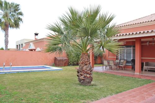 奇克拉纳－德拉弗龙特拉Chalet Carlos El Campito的房子旁的院子中的棕榈树