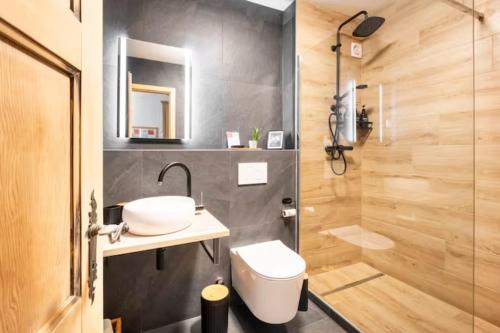 威拉尔-苏-罗伦Rare, quite & centered Apartment with Garden & Fireplace的一间带水槽、卫生间和淋浴的浴室