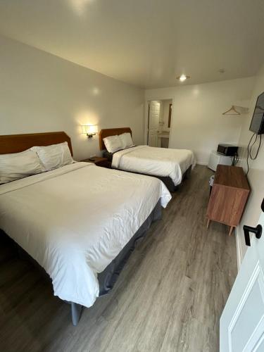 乔治湖乔治湖景汽车旅馆的一间卧室设有两张床和一张桌子及电视