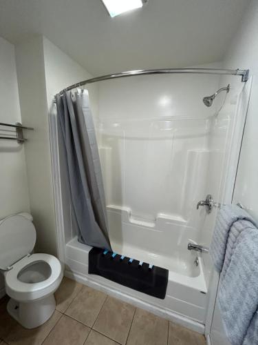 乔治湖乔治湖景汽车旅馆的带淋浴和卫生间的浴室