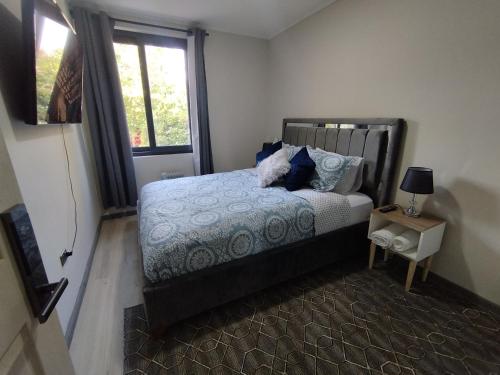 圣地亚哥Costanera Bed & Breakfast的一间卧室配有一张带蓝色枕头的床和一扇窗户。