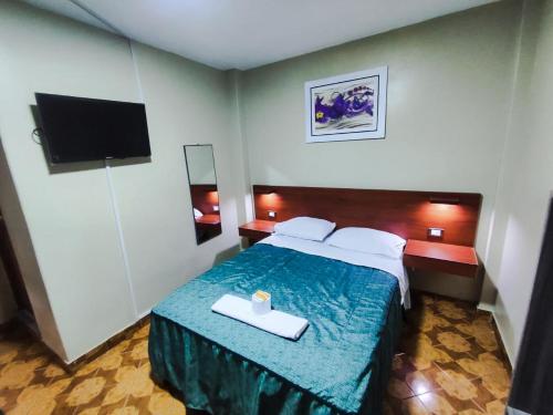 纳斯卡Hostal Continental的一间酒店客房,配有一张床和一台电视