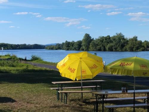 Horní PočaplyČeský Bufík - stanové tábořiště的两个桌子,旁边是湖边的黄伞