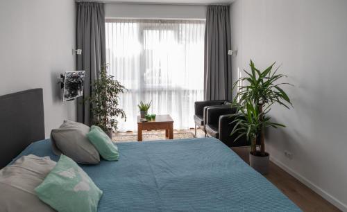 NaarderburenBuitenplaats Wergea的一间卧室配有一张带蓝色床单的床和一扇窗户。