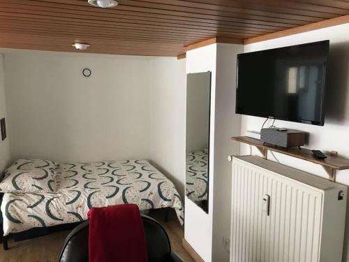 埃尔施泰因Studio 1 à 4 pers, proche Strasbourg, Europa-Park, Colmar的一间卧室配有一张床和一台平面电视