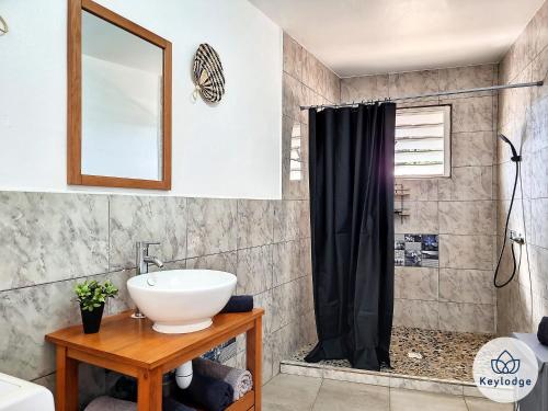 圣贝努瓦Zambaville - maison 2 chambres - Sainte-Anne的一间带水槽和淋浴的浴室