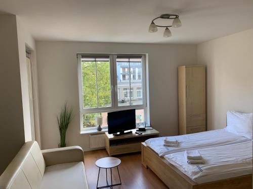 什切青Apartamenty Staromłyńska的一间卧室配有一张床、一台电视和一张沙发