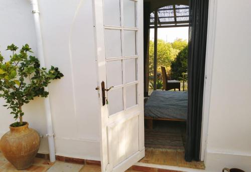 圣布拉什迪阿尔波特尔Casa Papoula的通往种植植物的房间的敞开的门