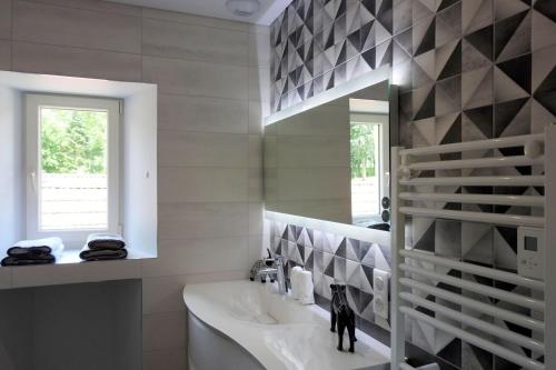 Balesmes-sur-MarneChez Clément的一间带水槽和镜子的浴室