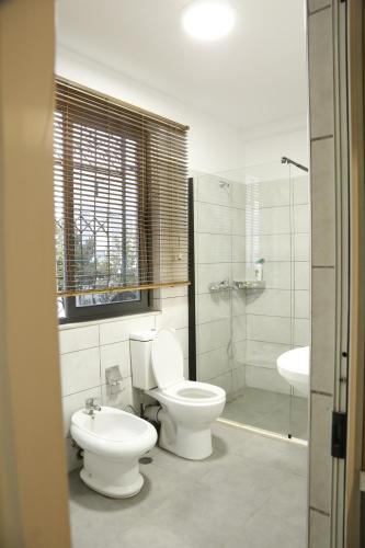 地拉那Illyrian studio apartment 2的浴室配有卫生间、盥洗盆和淋浴。