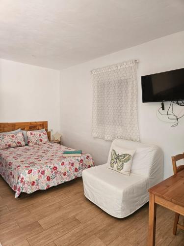 巴尔巴特Casita La Raiz的一间卧室配有一张床、一把椅子和电视。