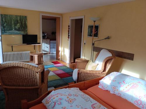 塞勒姆索嫩斯泰因拜尔健康酒店的客厅配有椅子、床和电视