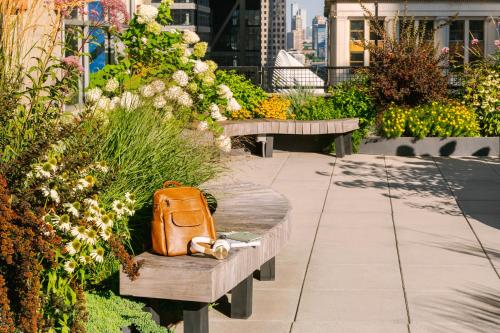 纽约Sonder City Hall Park的坐在花园长凳上的橙色袋子