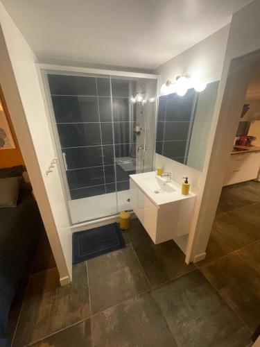 圣布里厄Gare australe的浴室配有白色水槽和淋浴。