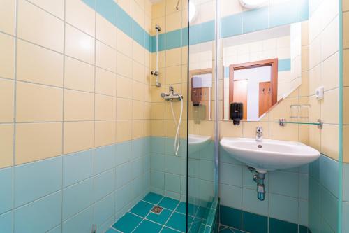 塔特兰斯卡斯特拉Hotel RYSY的一间带水槽和镜子的浴室