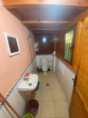 胡塞马Peñon de velez de la gomera的一间带卫生间和水槽的小浴室