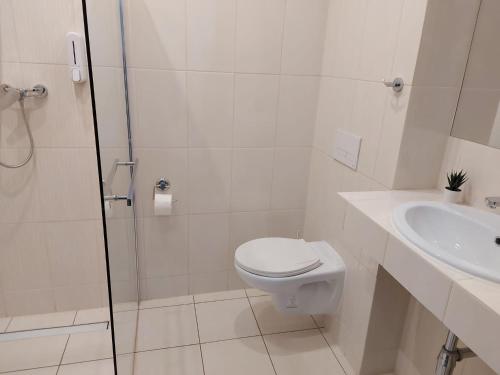 切霍齐内克Willa Vistula的白色的浴室设有卫生间和水槽。