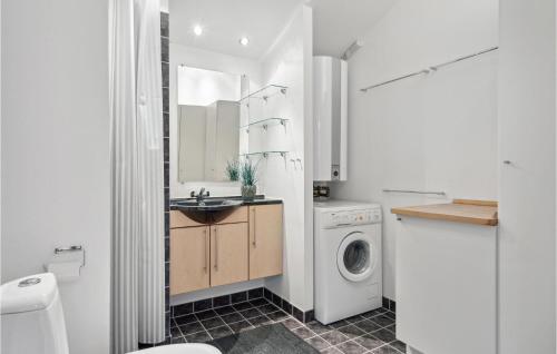 维泽桑讷Nice Home In Hvide Sande With Wifi的一间带水槽和洗衣机的浴室
