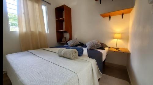 蓬塔卡纳Dominican Dream Apartments的一间卧室设有两张床和窗户。