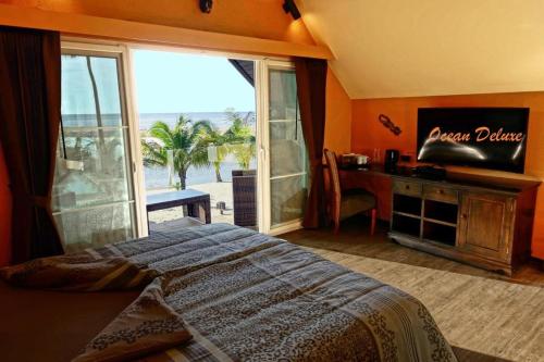 象岛Laguna Beach House的一间卧室设有一张床、一台电视和一个窗口。