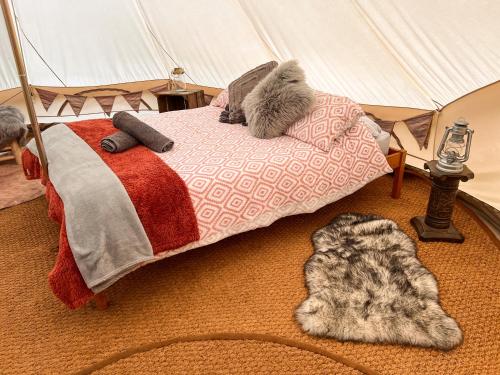 FoulshamThe Queens Head Glamping的一张床上,有两只猫躺在帐篷里