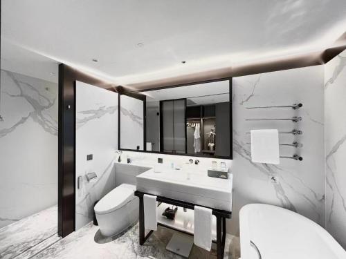 北京北京远通维景国际大酒店的一间带水槽、卫生间和镜子的浴室