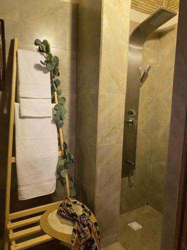 ToubakoutaToubacouta Lodges的一间带淋浴的浴室,里面装有植物