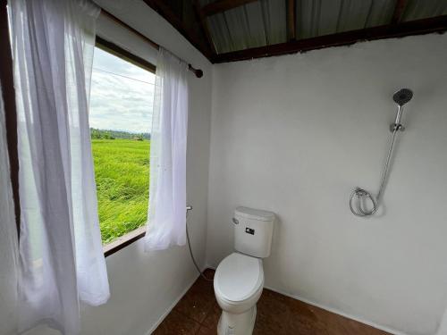 Chiang KlangDee Tor Jai Farm Stay ดีต่อใจฟาร์มสเตย์的一间带卫生间和窗户的浴室