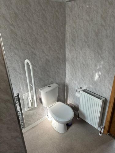 英戈尔德梅尔斯Disabled 4 Berth的一间带卫生间和散热器的小浴室