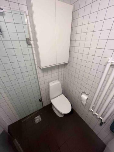哥本哈根At Lars and Oscars - Vesterbro Apartment的浴室位于隔间内,设有白色卫生间。